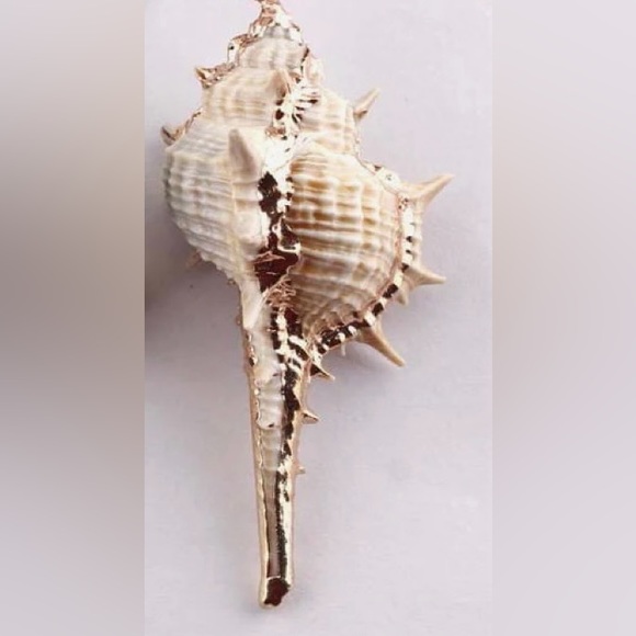 Spiny Murex~ Echinate Spiky Conch Shell Mermaid Beach Ocean Gold Dipped Necklace - Picture 14 of 16